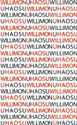 WILLIMON U HAOSU - Biljana Willimon